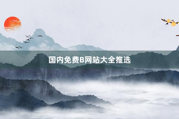 国内免费B网站大全推选