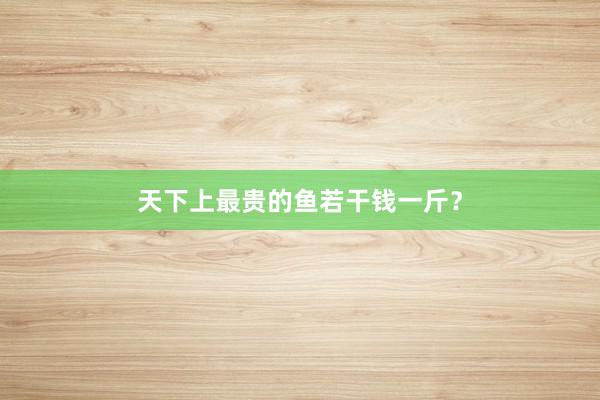 天下上最贵的鱼若干钱一斤？